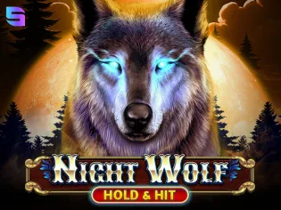 Night Wolf - Hold & Hit screenshot
